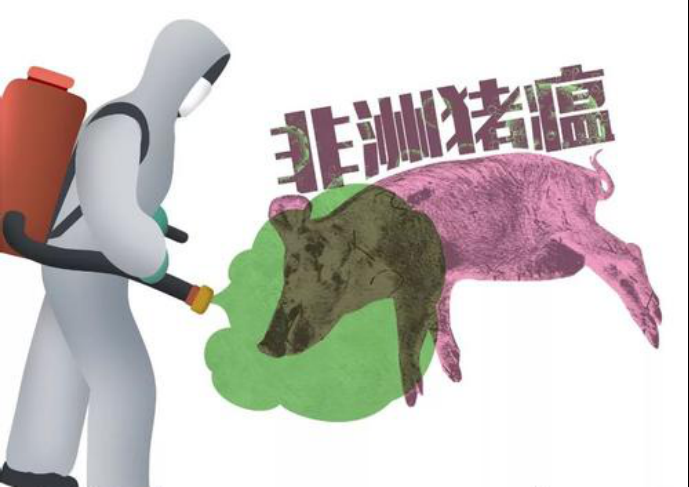 非瘟日常防控三要點(diǎn)：外防、內(nèi)控和提免