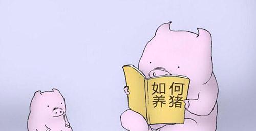 給豬用藥的幾大誤區(qū)！