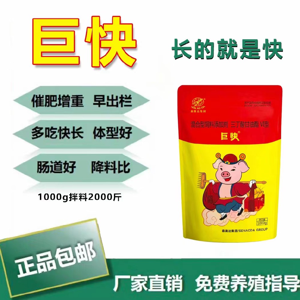 生豬如何高效催肥？